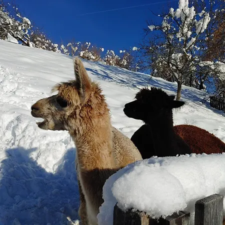 Karawankenblick Apartmán *