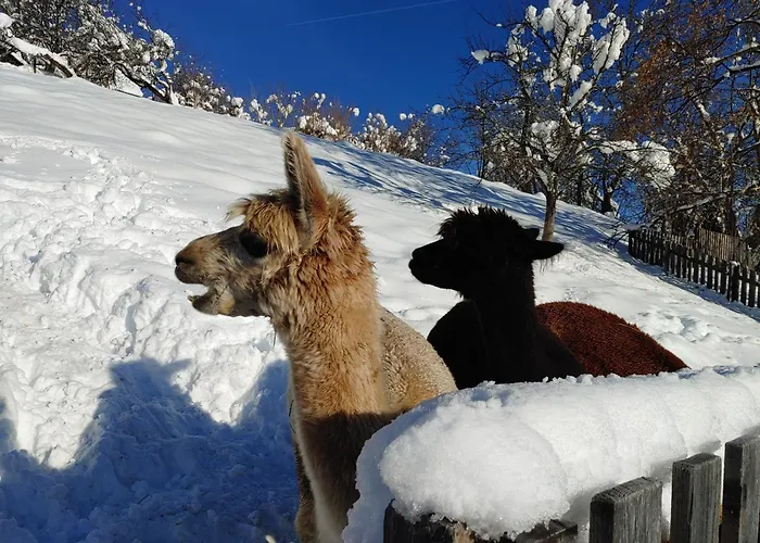 Karawankenblick 公寓 *