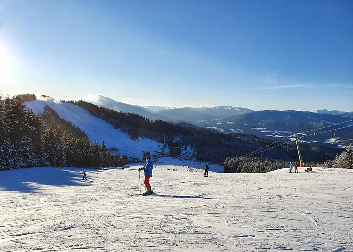 Karawankenblick 公寓 *