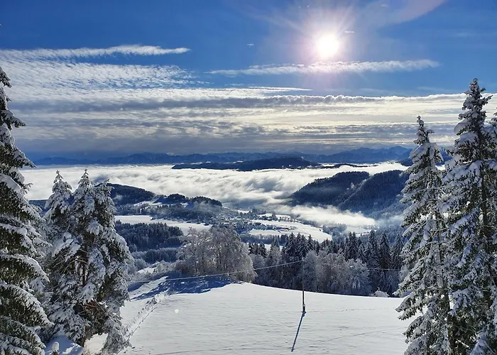 Karawankenblick 公寓 *